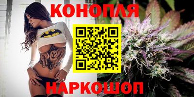 альфа пвп Новодвинск