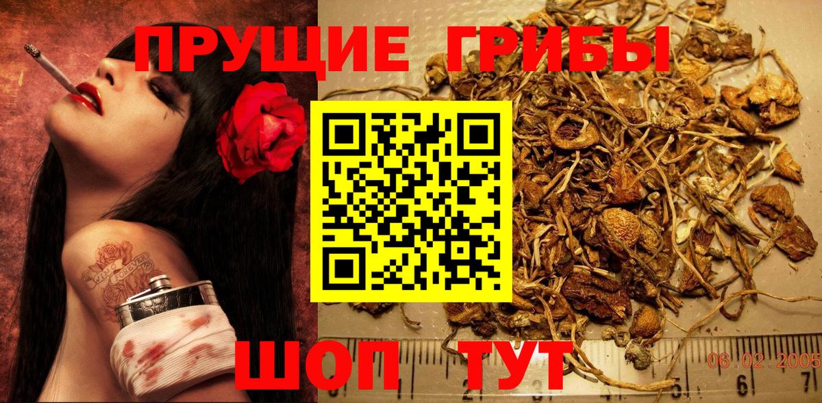Псилоцибиновые грибы мухоморы  Вход с VPN  Шелехов 